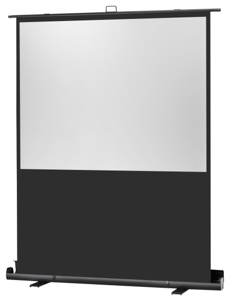 celexon screen Mobile Professional Plus