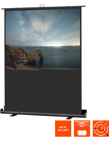 celexon screen Mobile Professional Plus