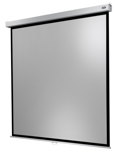 celexon screen Manual Professional PlusSlow retraction