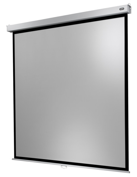 celexon screen Manual Professional PlusSlow retraction
