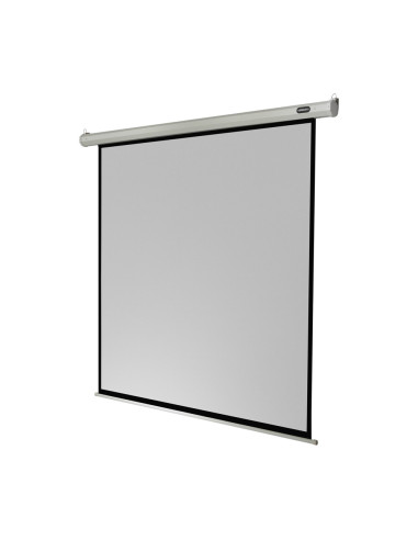 celexon screen Electric Economy