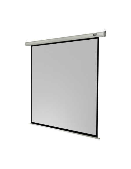 celexon screen Electric Economy