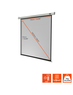 celexon screen Electric Economy 2