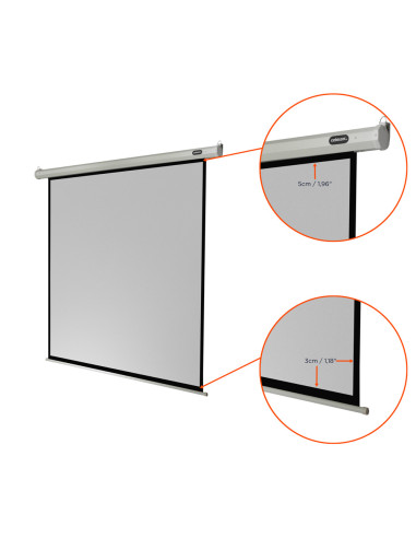 celexon screen Electric Economy