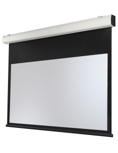 celexon Expert XL electric screen