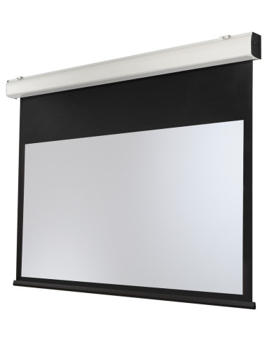 celexon electric screen Expert XL