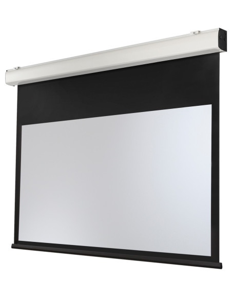 celexon electric screen Expert XL