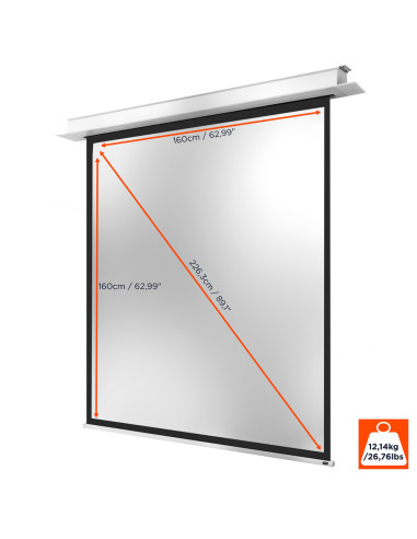 celexon Ceiling Recessed Electric Professional Plus