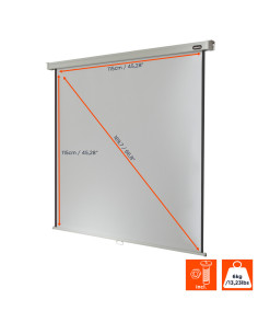 celexon screen Manual Professional 2