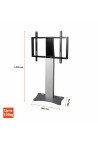 celexon Professional Plus display stand Fixed-42100P