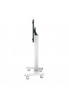 celexon Professional Plus Display Trolley Fixed-42100-LP Landscape/Portrait