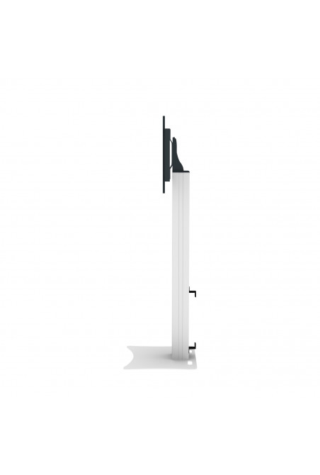 celexon display stand Fixed-42100P-LP