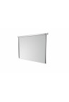 celexon screen Electric Economy 240 x 240 cm