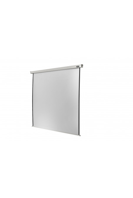 celexon screen Electric Professional 200 x 200 cm