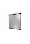 Celexon Electric Professional Plus Screen 160 x 160 cm