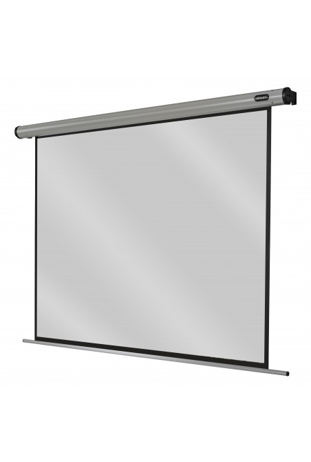 celexon screen Electric Home Cinema 220 x 165 cm