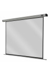 celexon screen Electric Home Cinema 220 x 165 cm