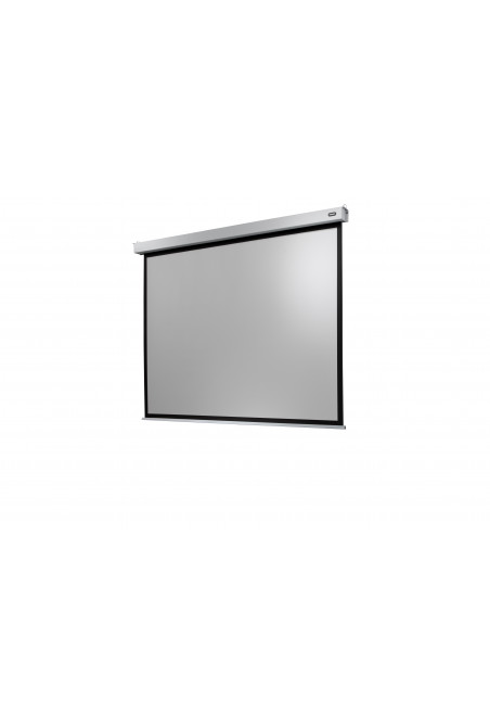 Celexon Electric Professional Plus Screen 200 x 150 cm