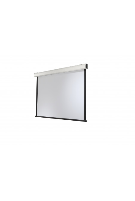 celexon electric screen Expert XL 350 x 265 cm