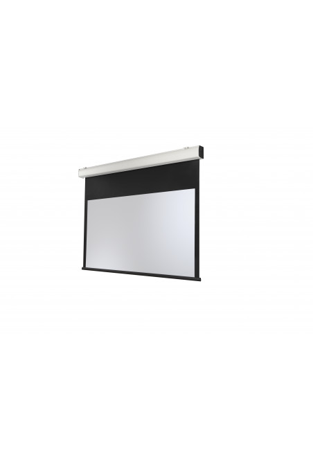 celexon Expert XL electric screen 350 x 219cm