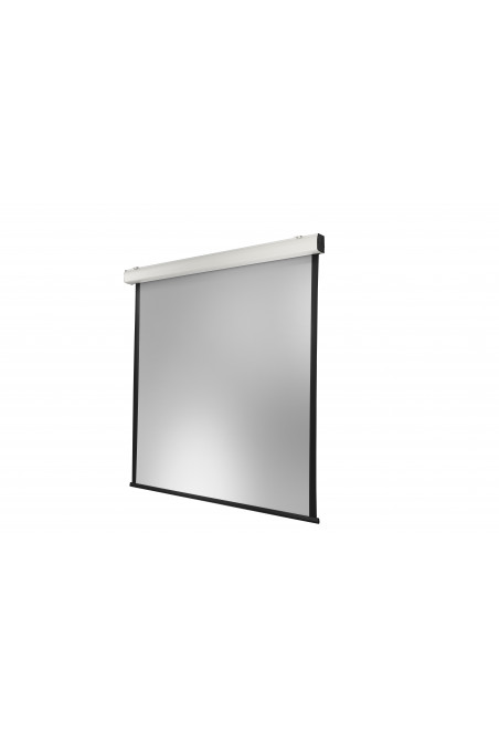 celexon electric screen Expert XL 300 x 300 cm