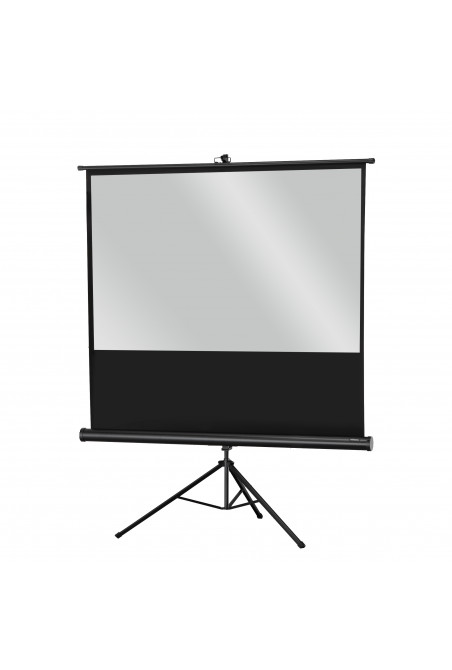 celexon screen Tripod Economy 219 x 123 cm