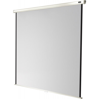 celexon screen Manual Economy 120 x 120 cm