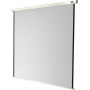 celexon screen Manual Economy 120 x 120 cm