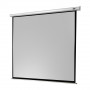 celexon Screen Electric Economy 280 x 280 cm