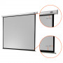 celexon Screen Electric Economy 280 x 280 cm