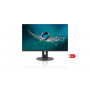 Fujitsu DISPLAY B32-9 TS 31.5" Ultra Narrow, LED, Business Line, IPS, 5 ms, 1000:1, 350 cd/m, 3840x2160 UHD, 1xDP 1.2, 2xHDMI, U